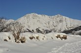 14 Cima Menna